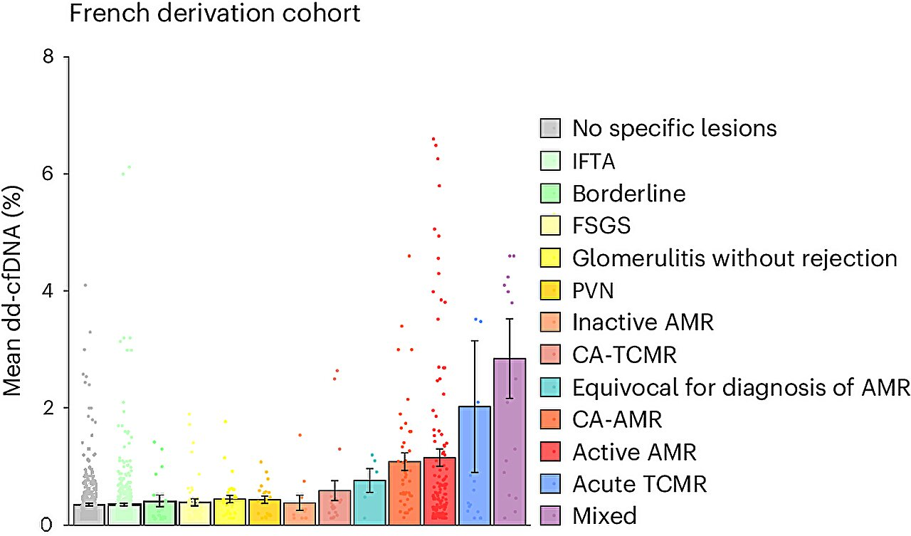 Donor-derived cell-free DNA strands over a kidney biopsy